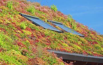 Billingford living roof systems